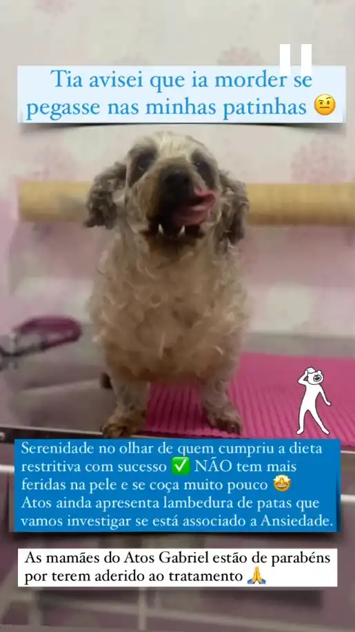 Depoimento WhatsApp - Atos Gabriel sem feridas na pele