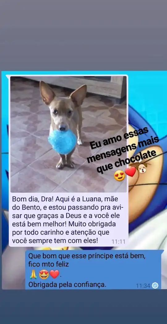 Depoimento WhatsApp - Luana e Bento curados da dermatite