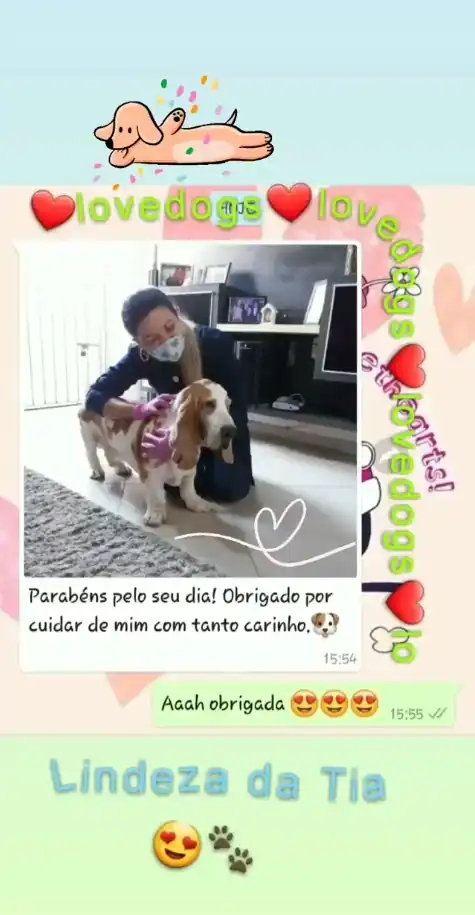 Depoimento WhatsApp - Beagle curado com carinho da veterinária