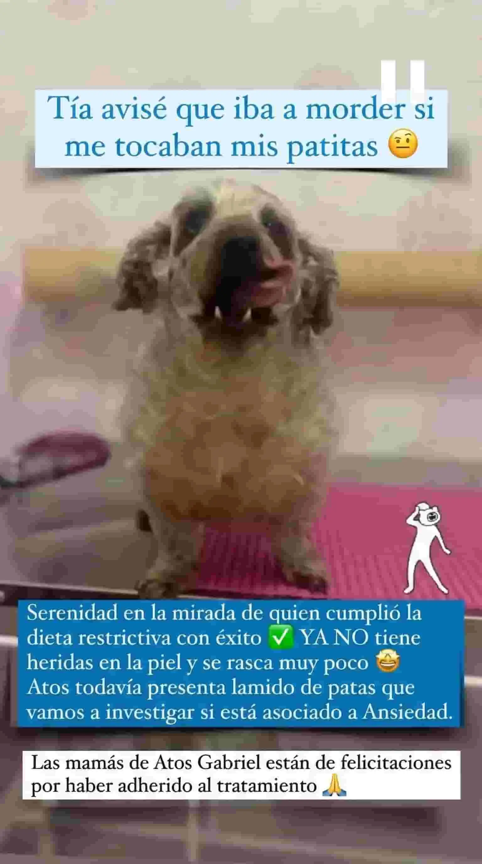 Testimonio WhatsApp - Lucía y Benito curados de la dermatitis