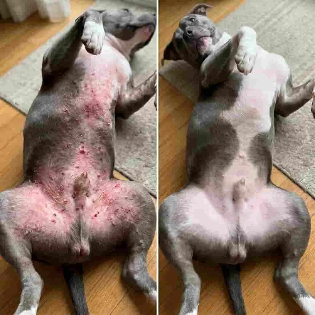 Transformação adicional 2