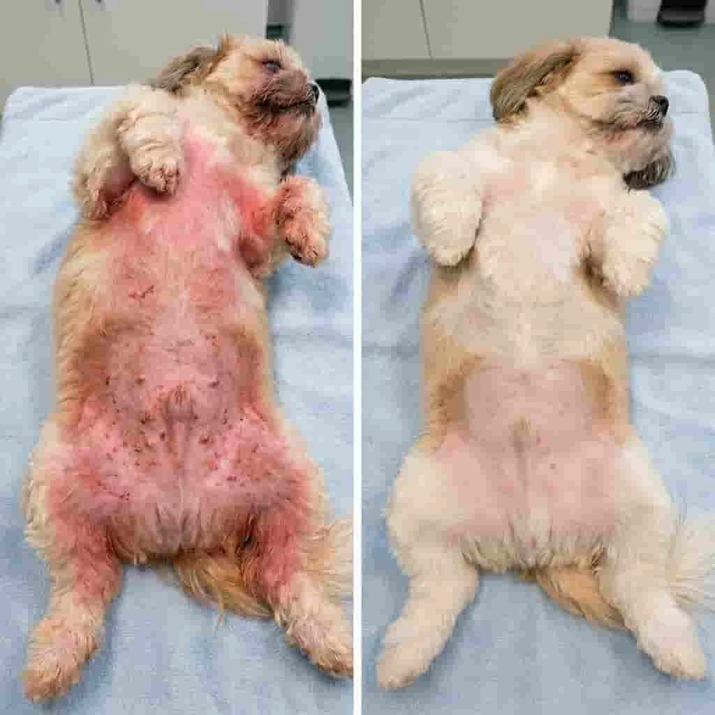 Transformação adicional 4